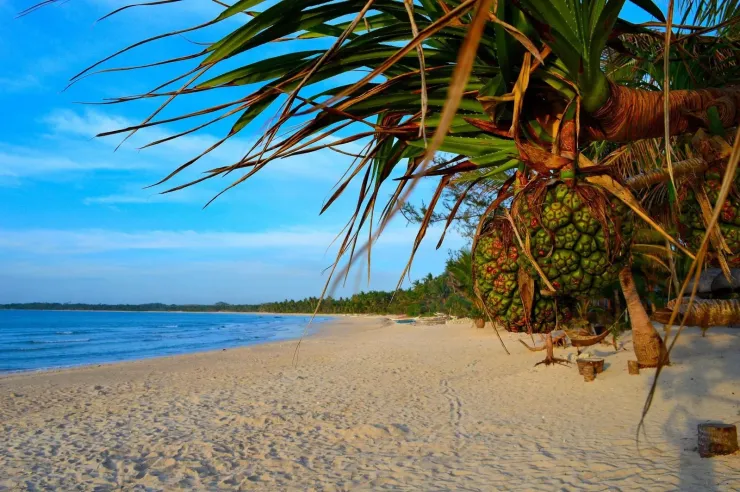Palani White Beach